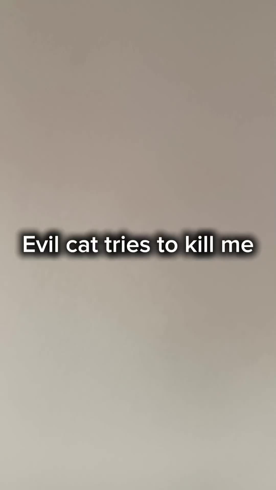 @BenSSJ