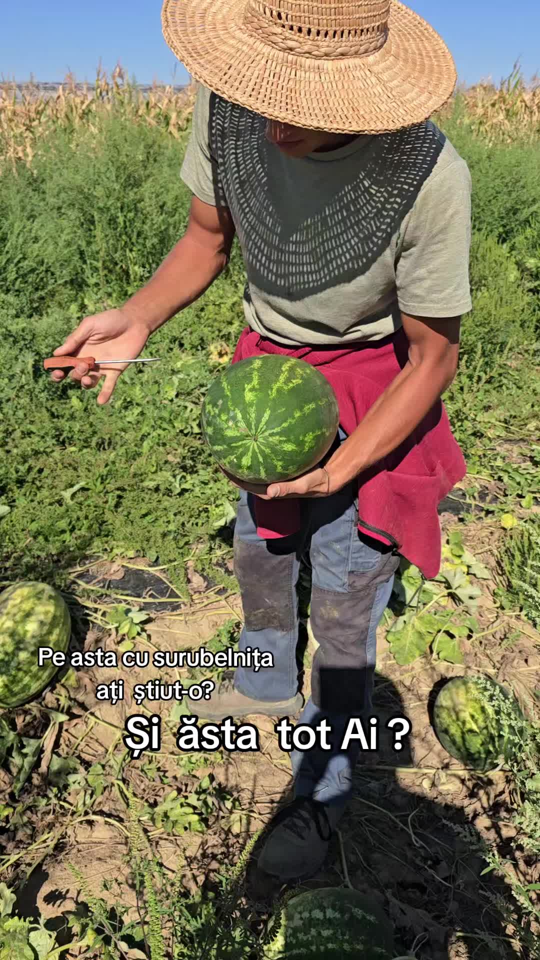 @Faze Farm