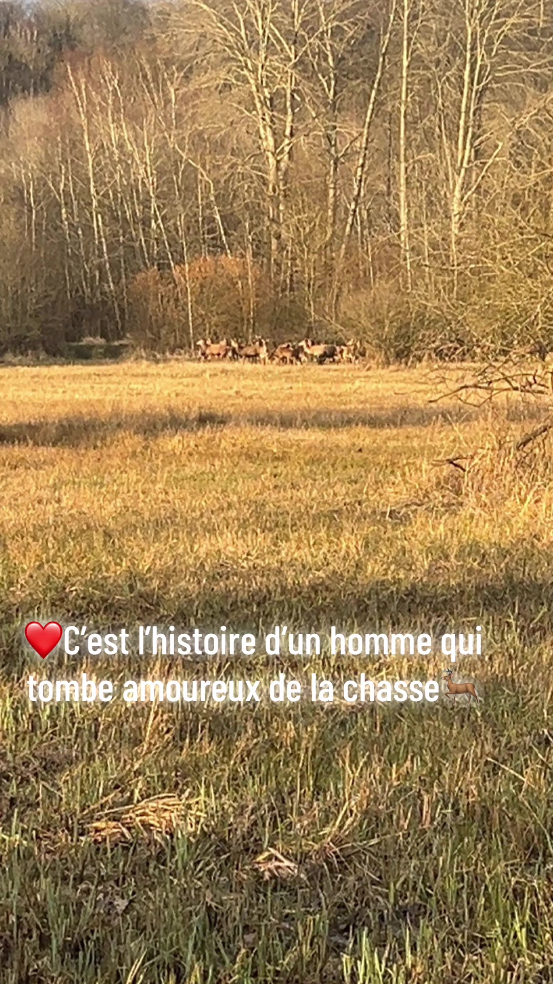 @tony.m74