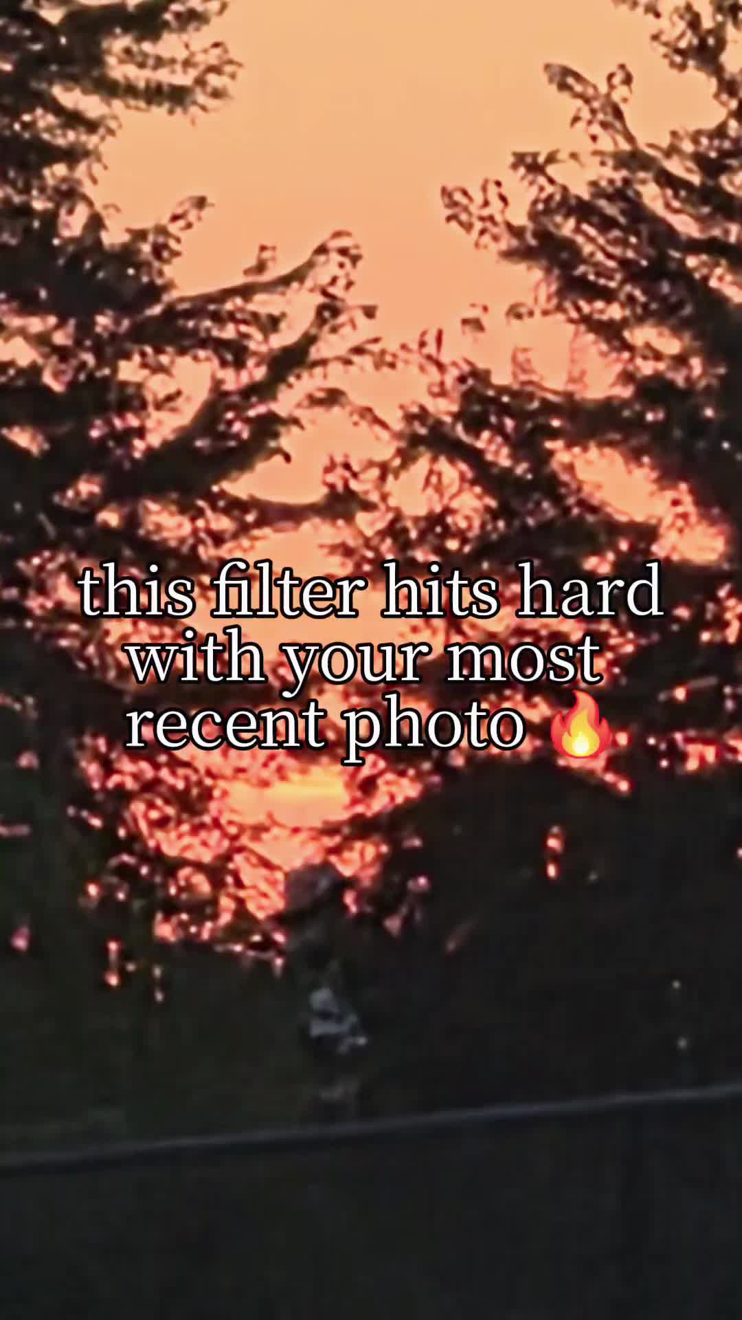 @goldfisheater17