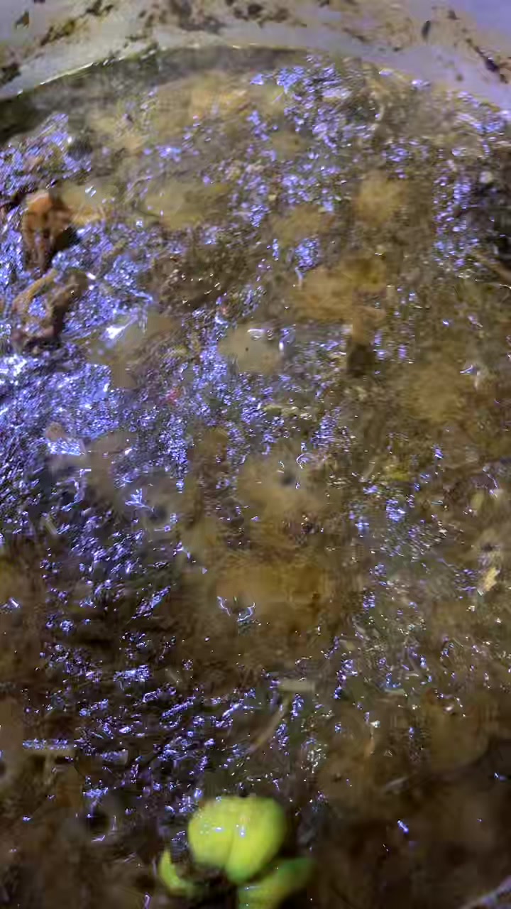 @Chachou🥰🥰💙❤️