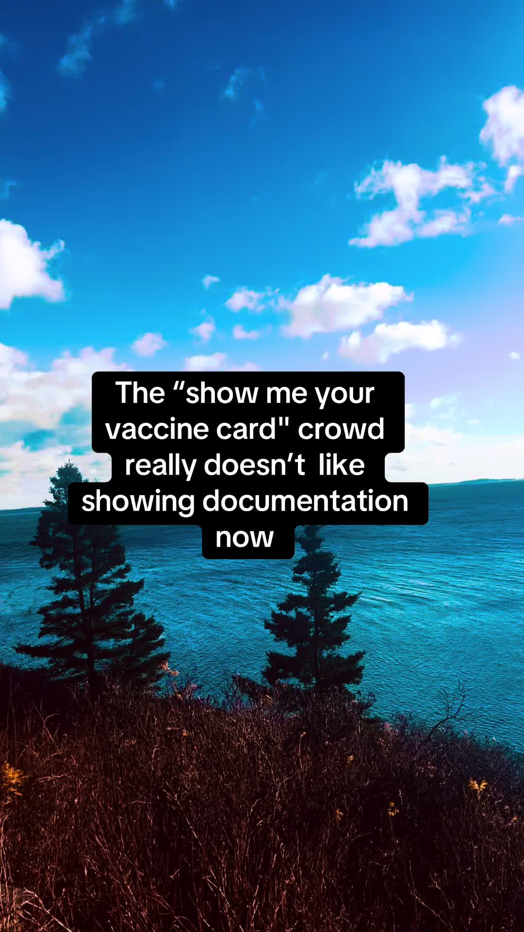 @Elaine