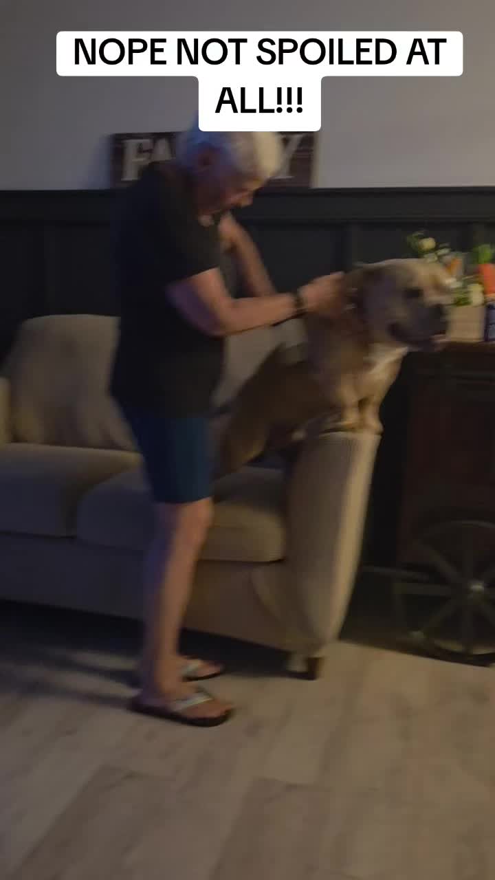 @Thor_of_Boston