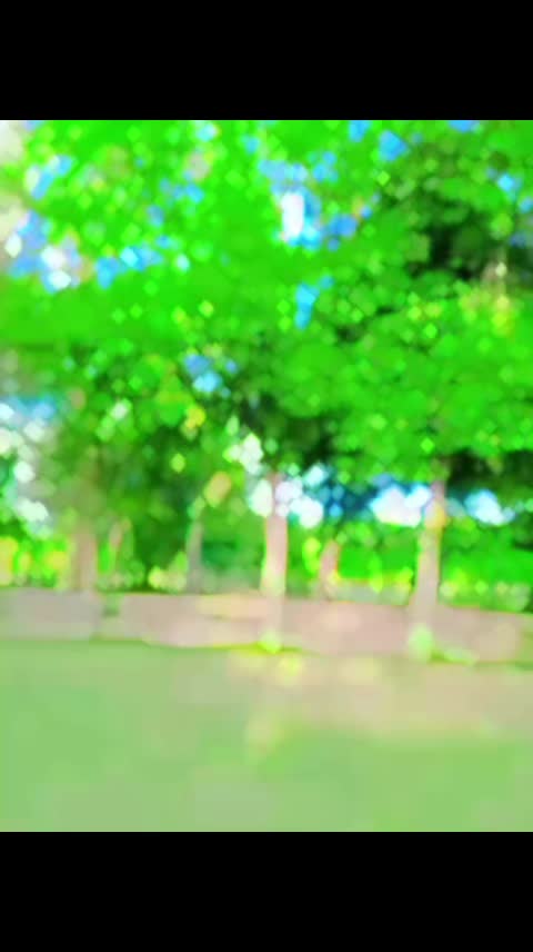 @Bashrat Bhatti 752
