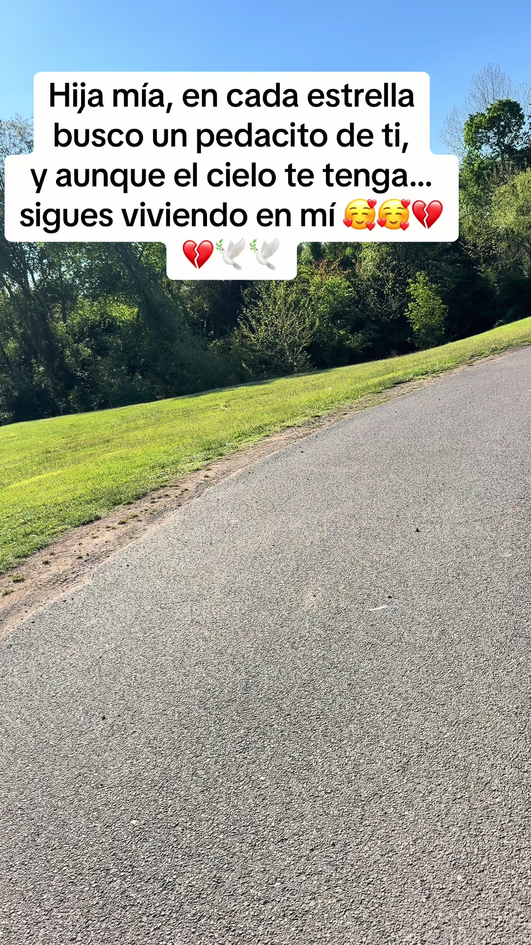 @Silvia Rivas