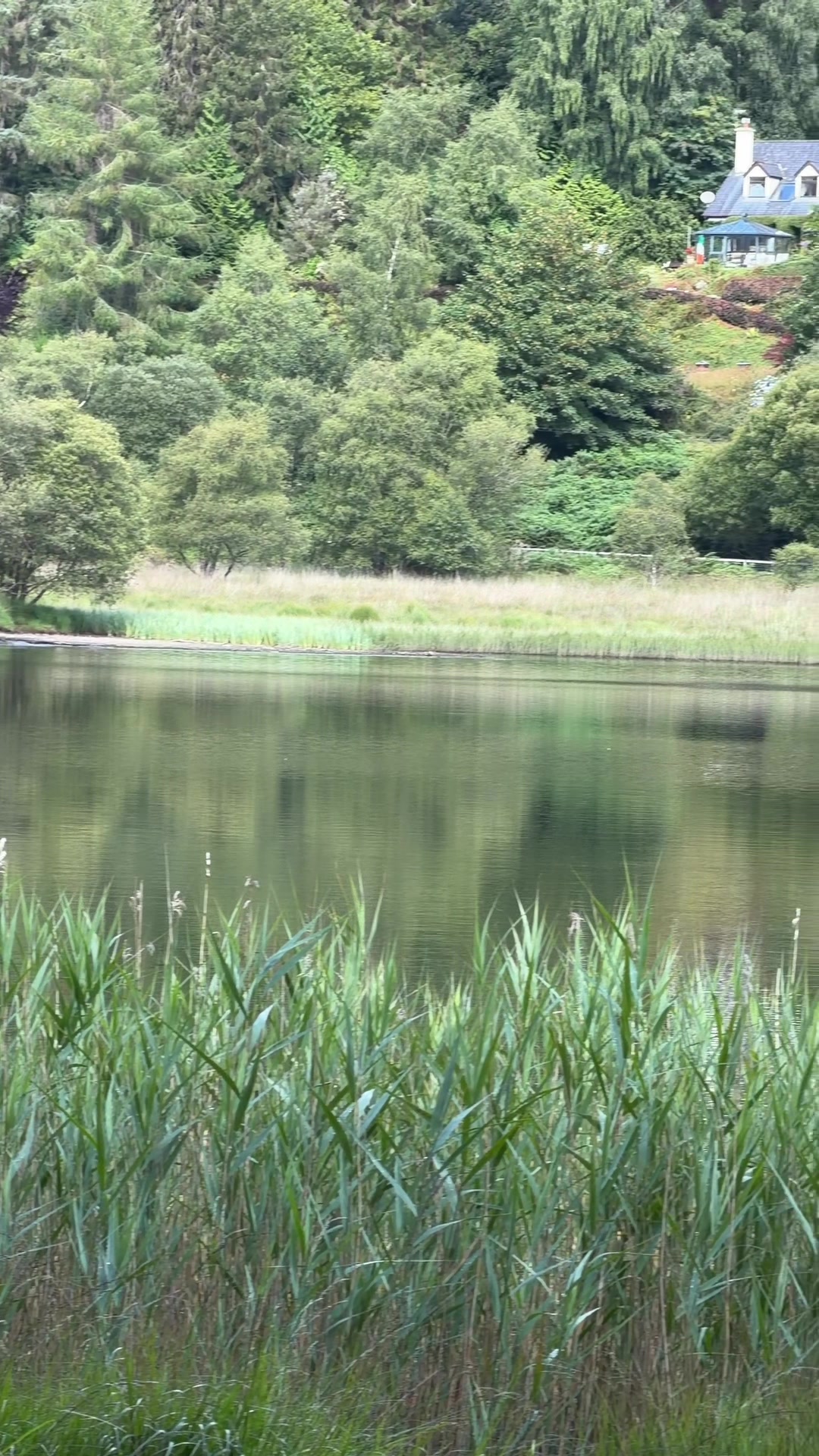 @travelwitherci