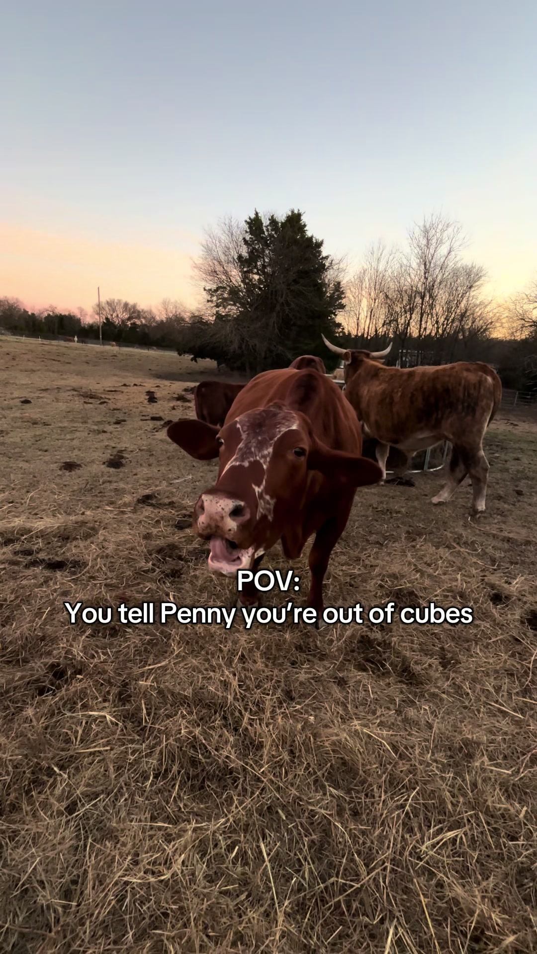 @C&K Ranch