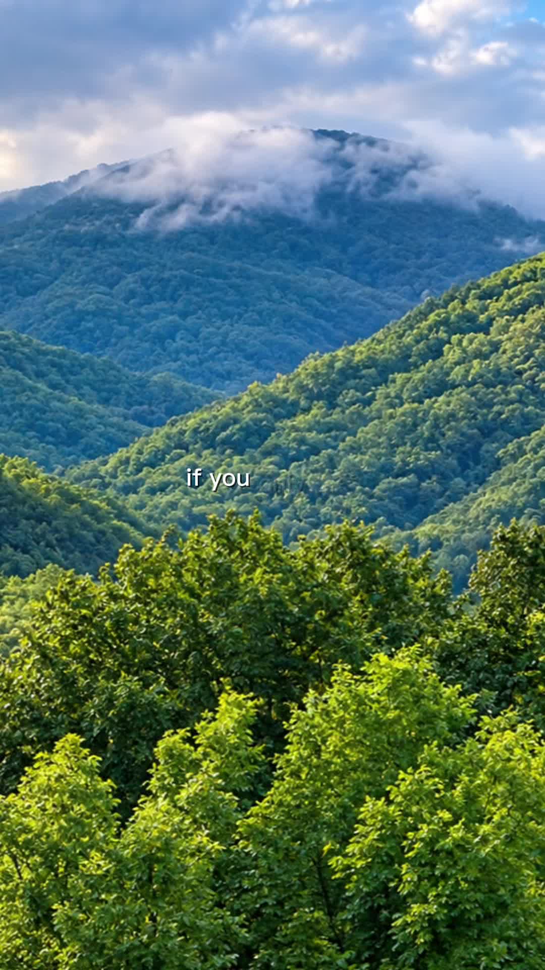 @jaysohegxmf