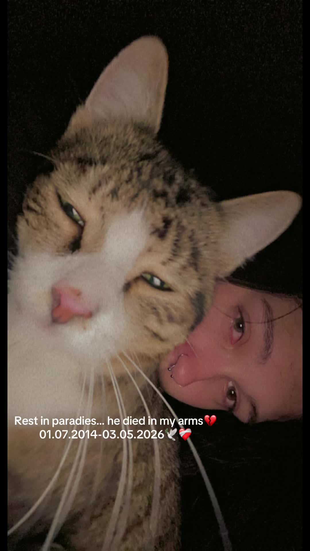 @silence.witch