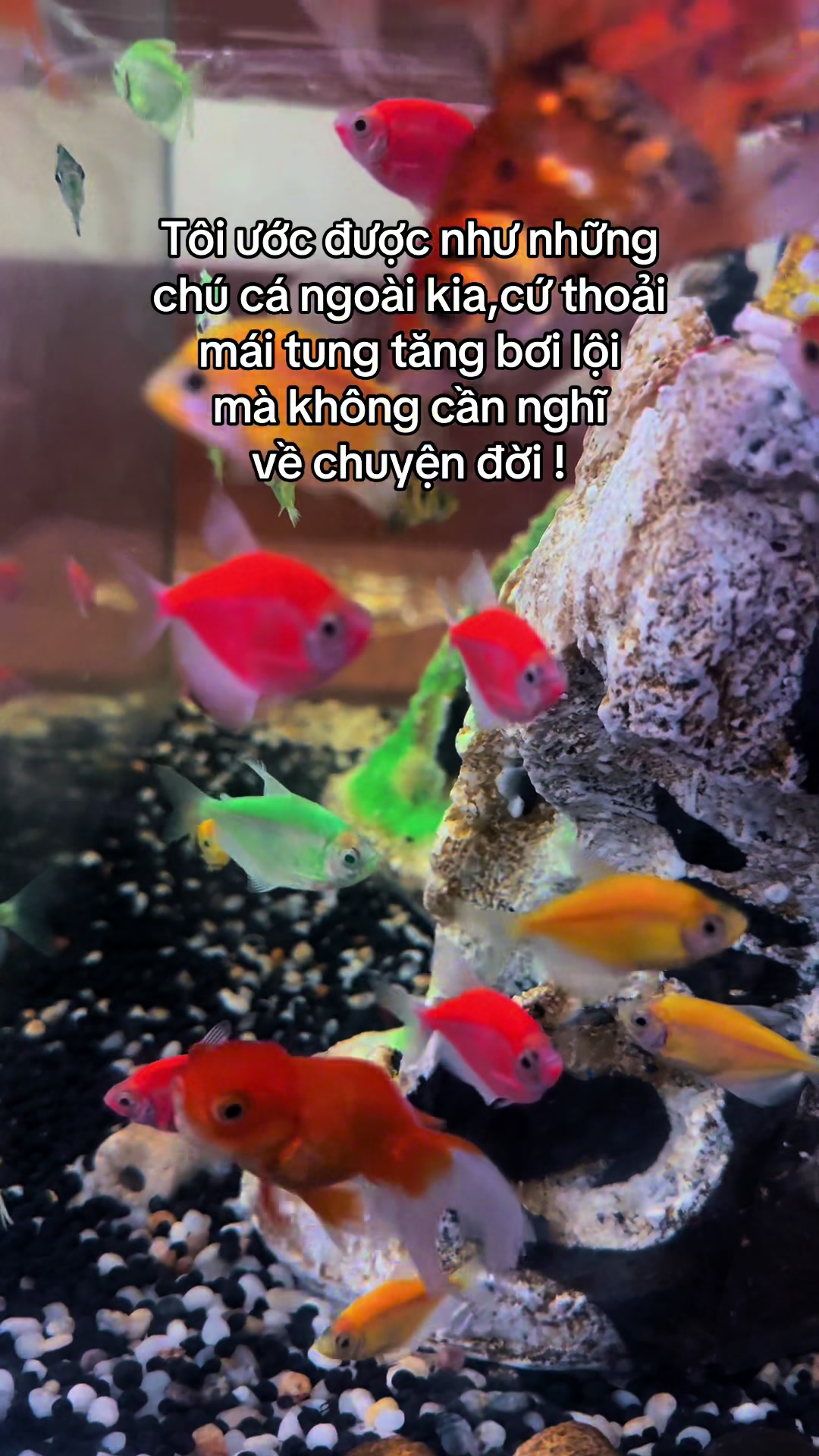 @C&ocirc; B&aacute;o Đ&ecirc;m 💎