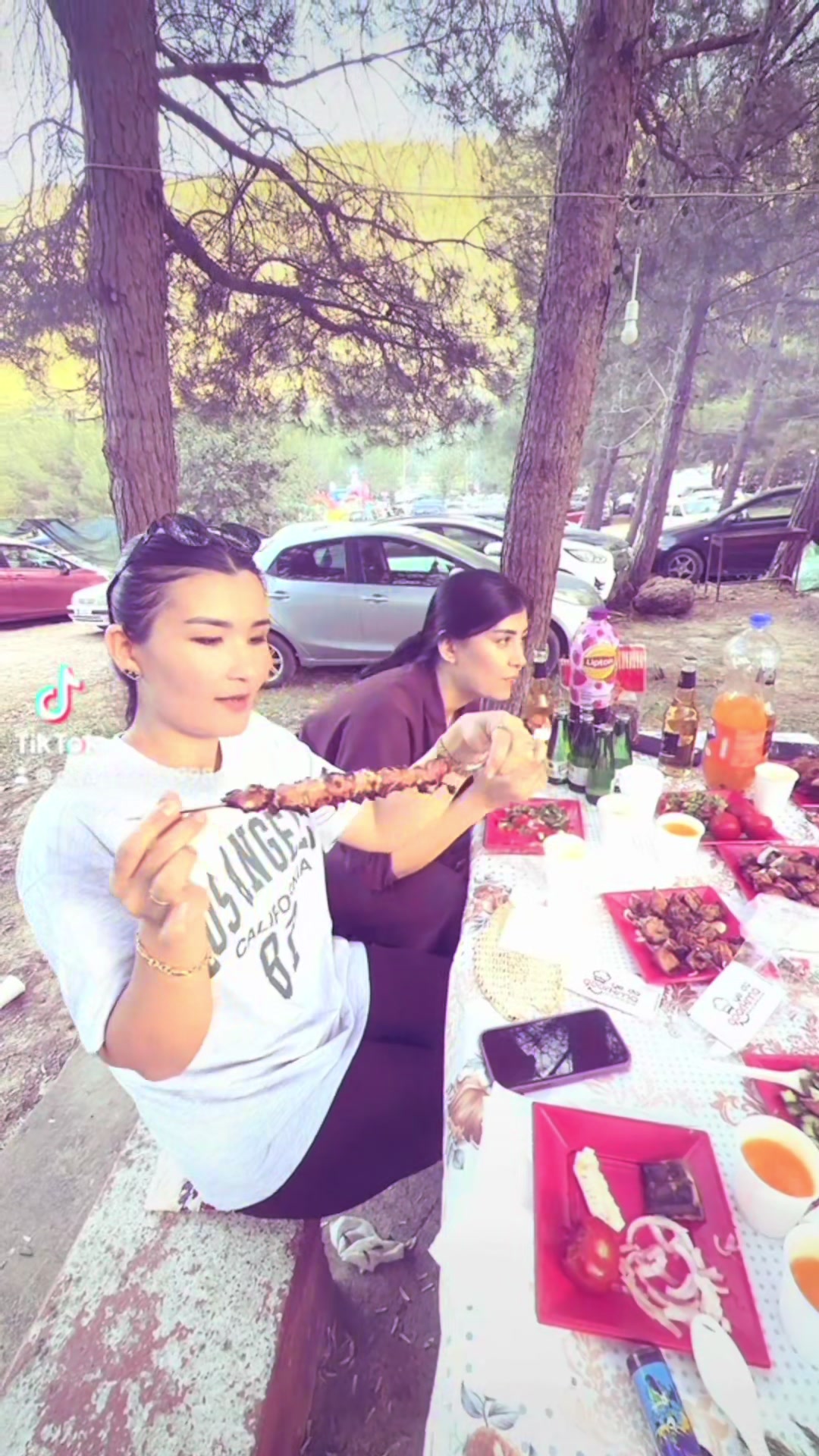 @Melek Seregul Tımur