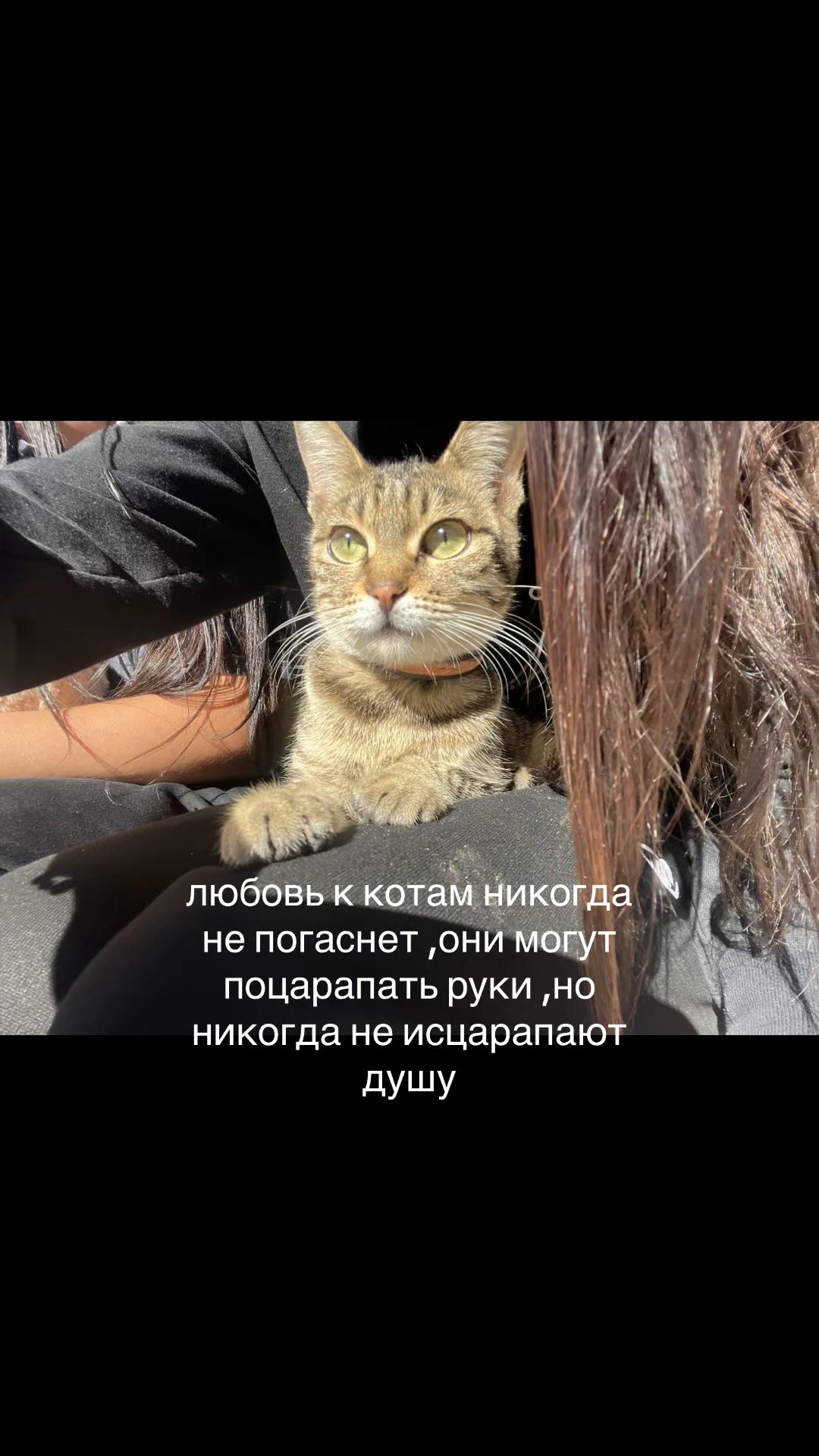@ⲙ૯ƿ&kappa;ƴƿь૯ɞɑ
