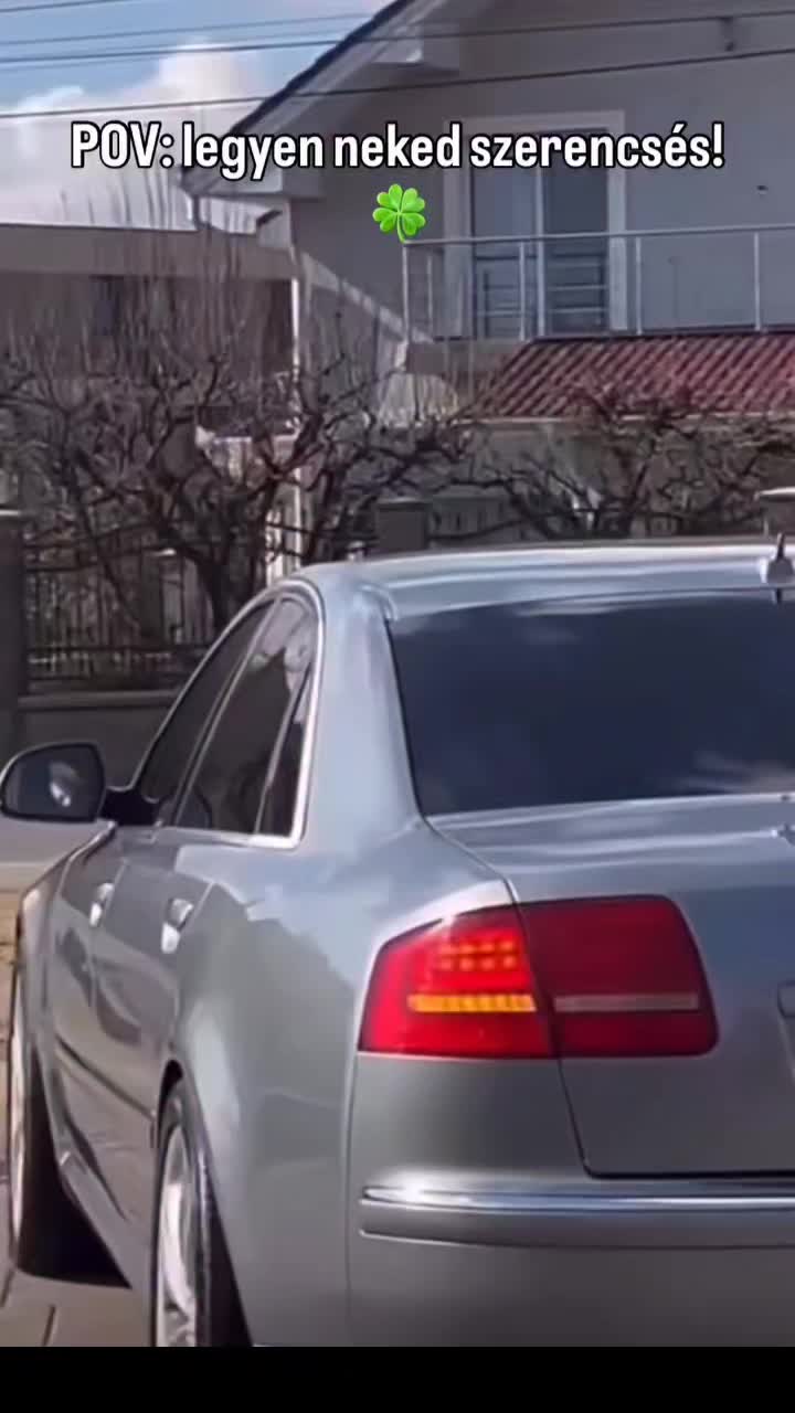 @Nemes Dávid