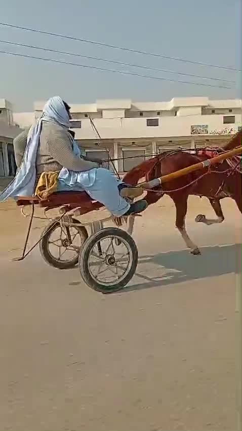 @شینکہ آلہ