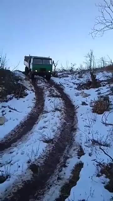 @sumska mafija