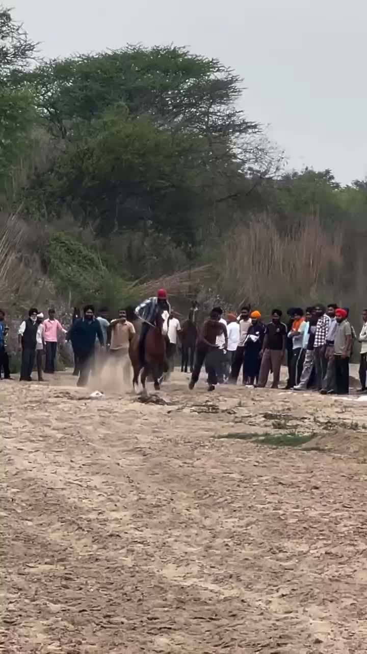 @🏇 MARWARI HORSE RACING 🏇