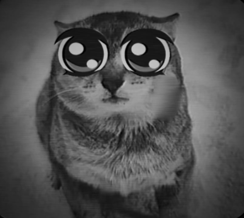 @SollarX53🪐⭐