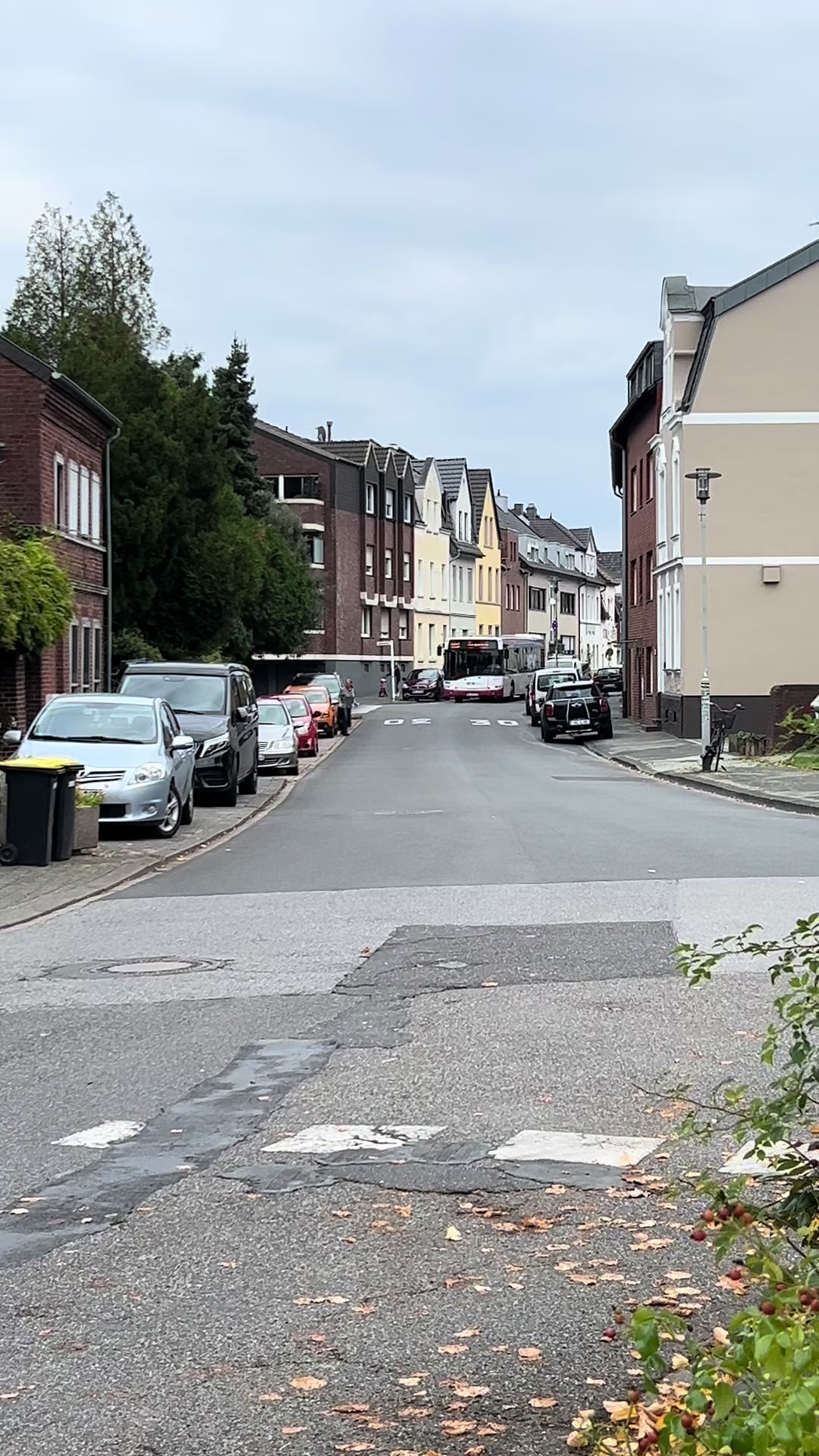 @ZW•NRW🇩🇪🦦