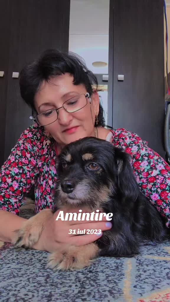 @Irina rusanu
