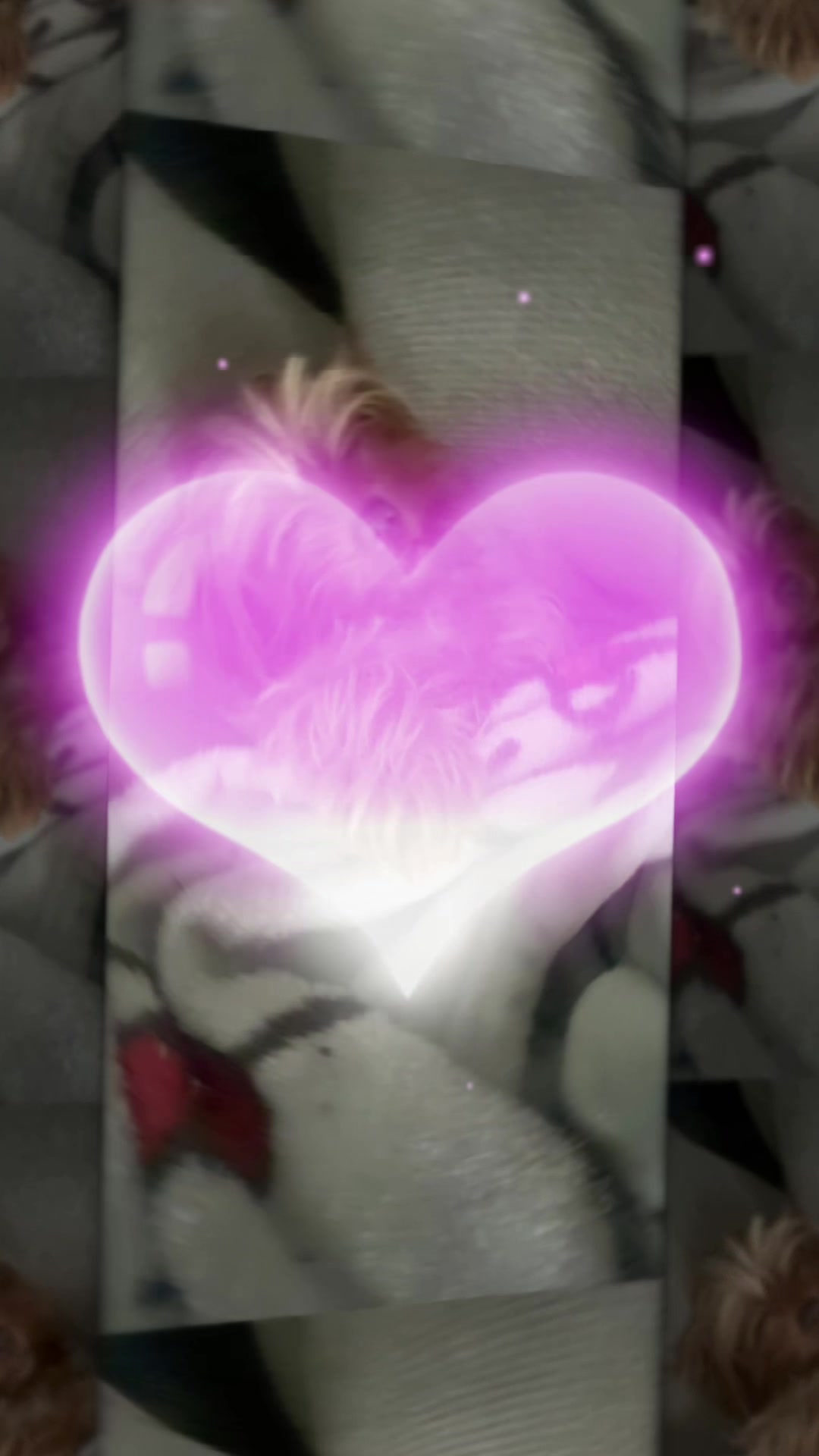 @❀𝓟❀