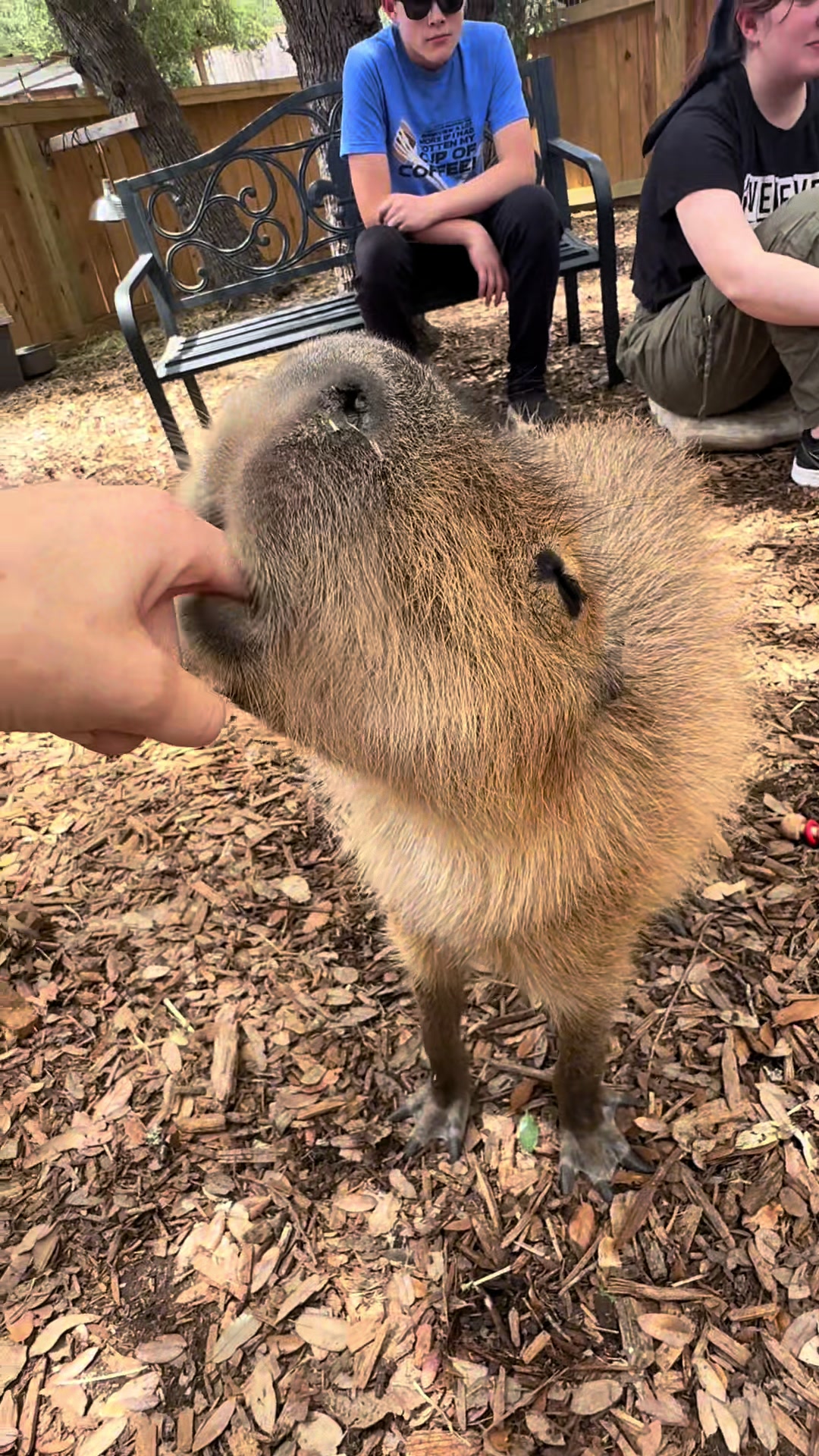 @Texas Wildlife Park