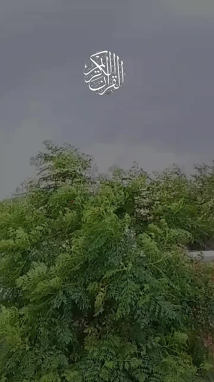@Nasir Ali❤️4E