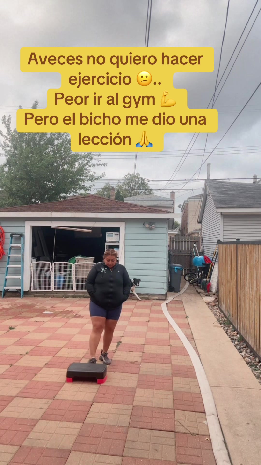 @Lissett5