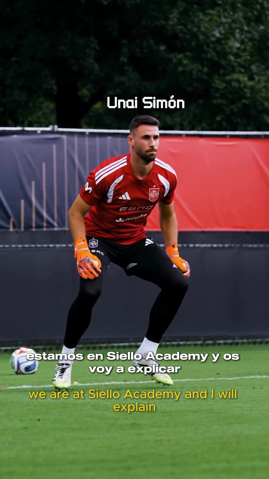 @Siello Academy