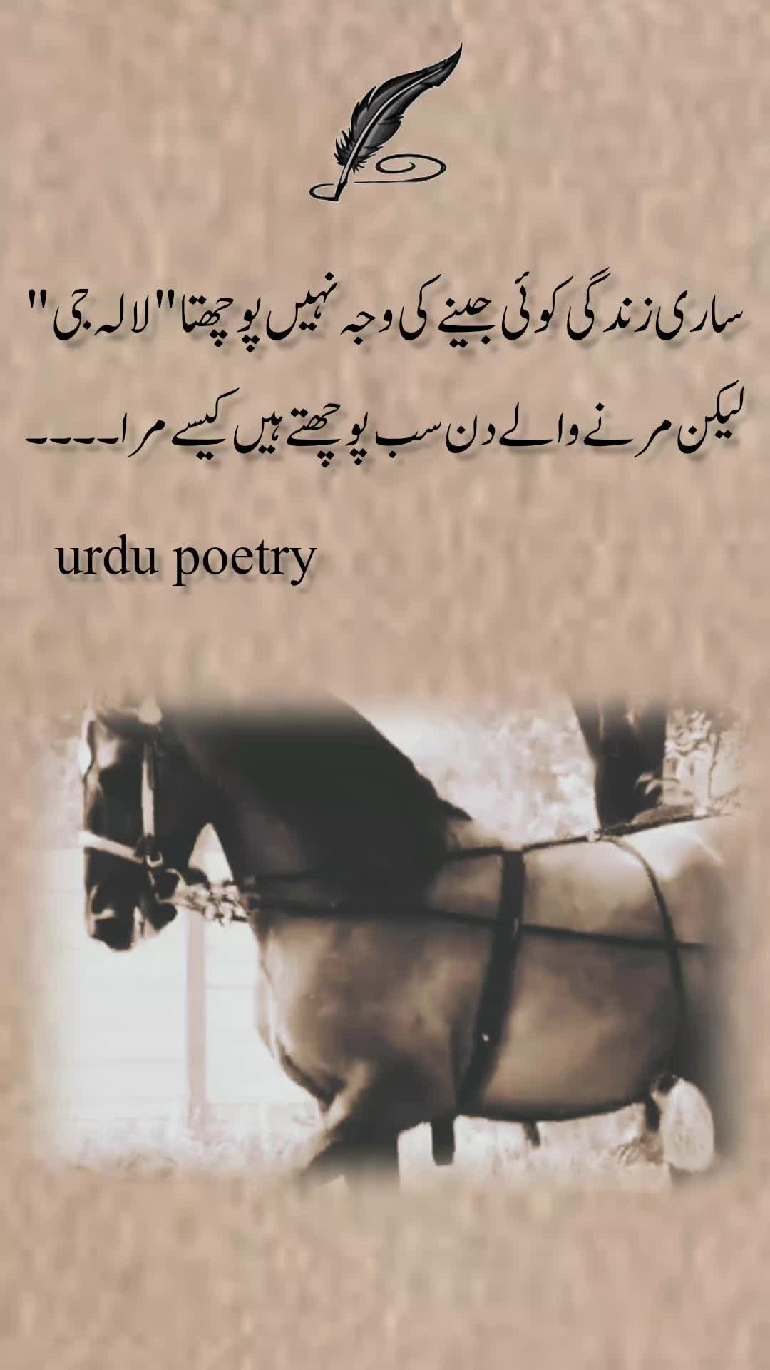 @Urdu poetry🇵🇰🇬🇷
