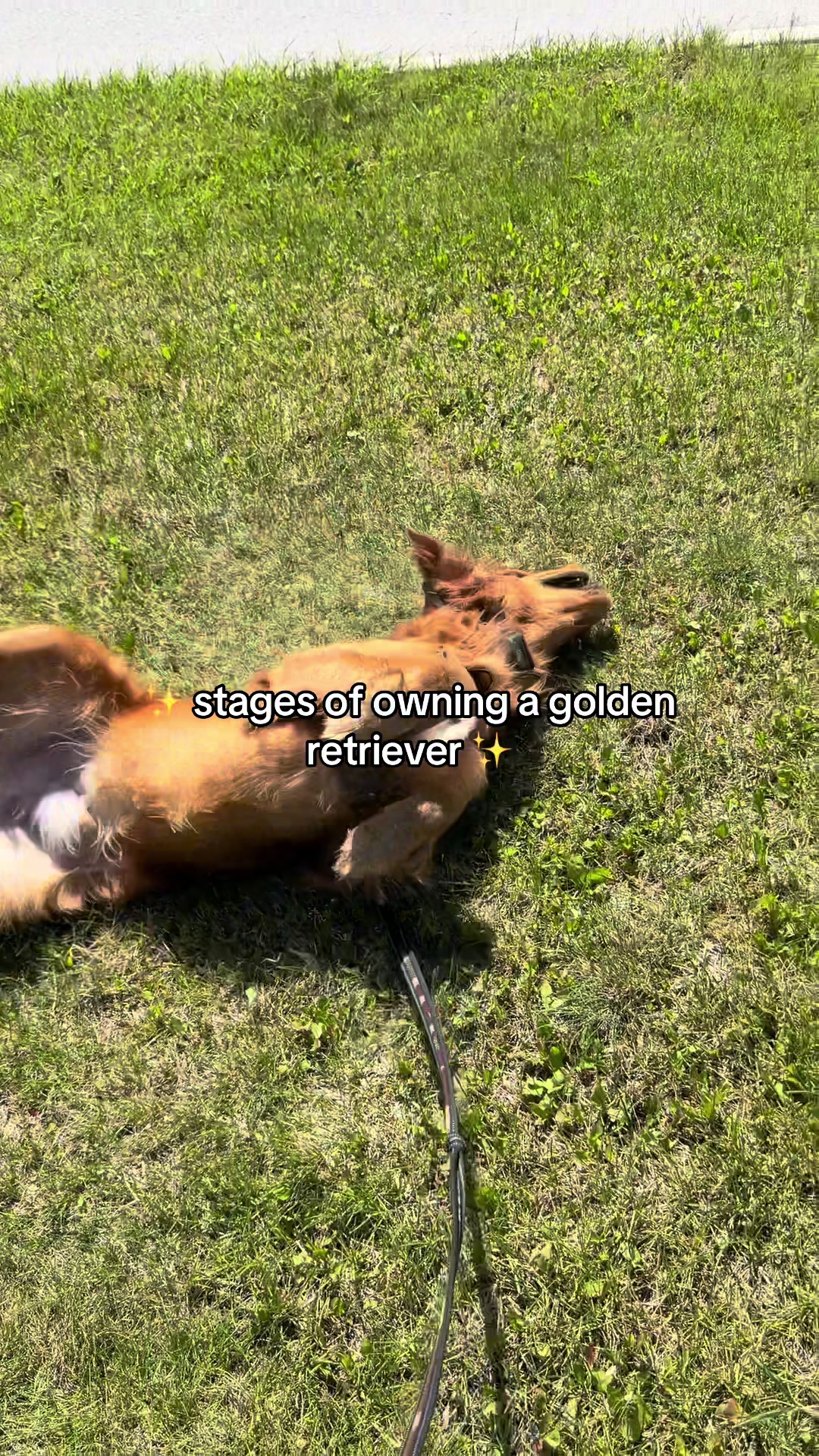 @KELSEY HAYES