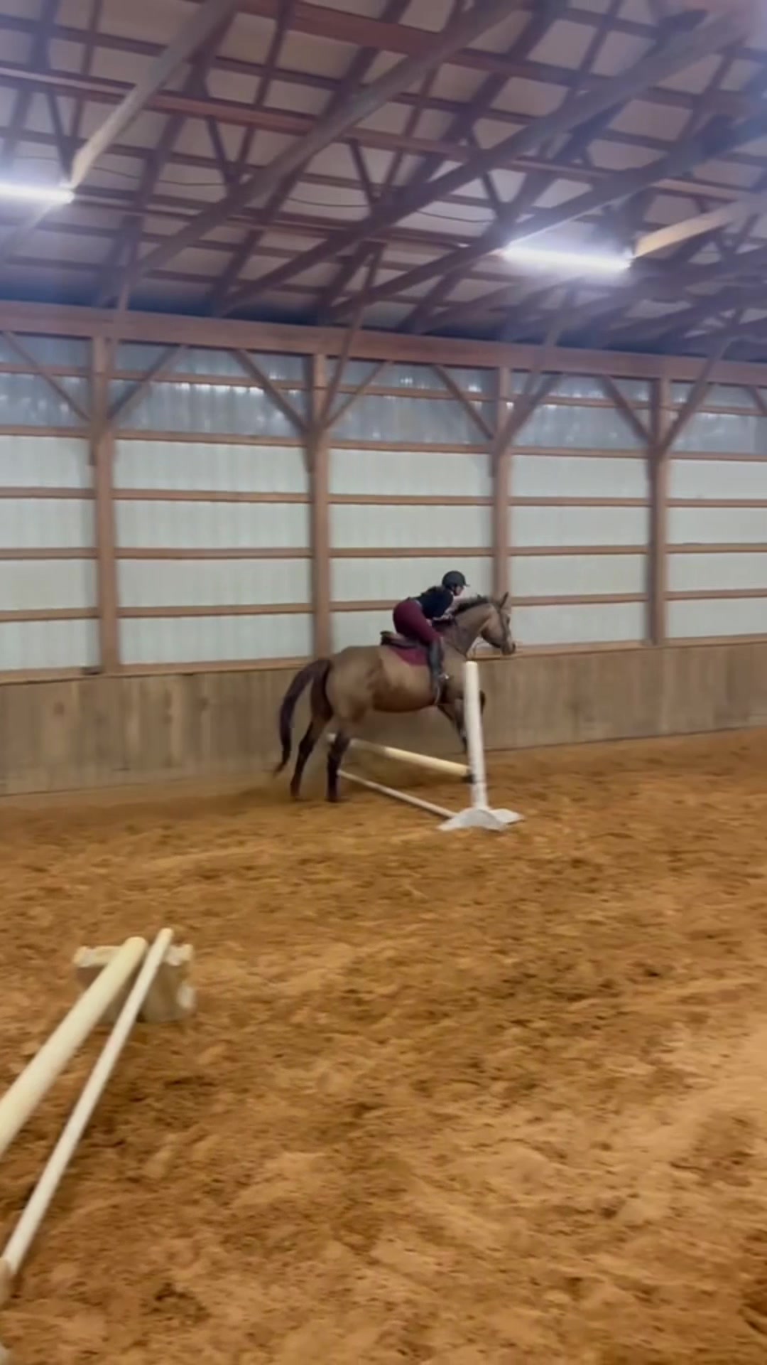 @Aftyn 🐎