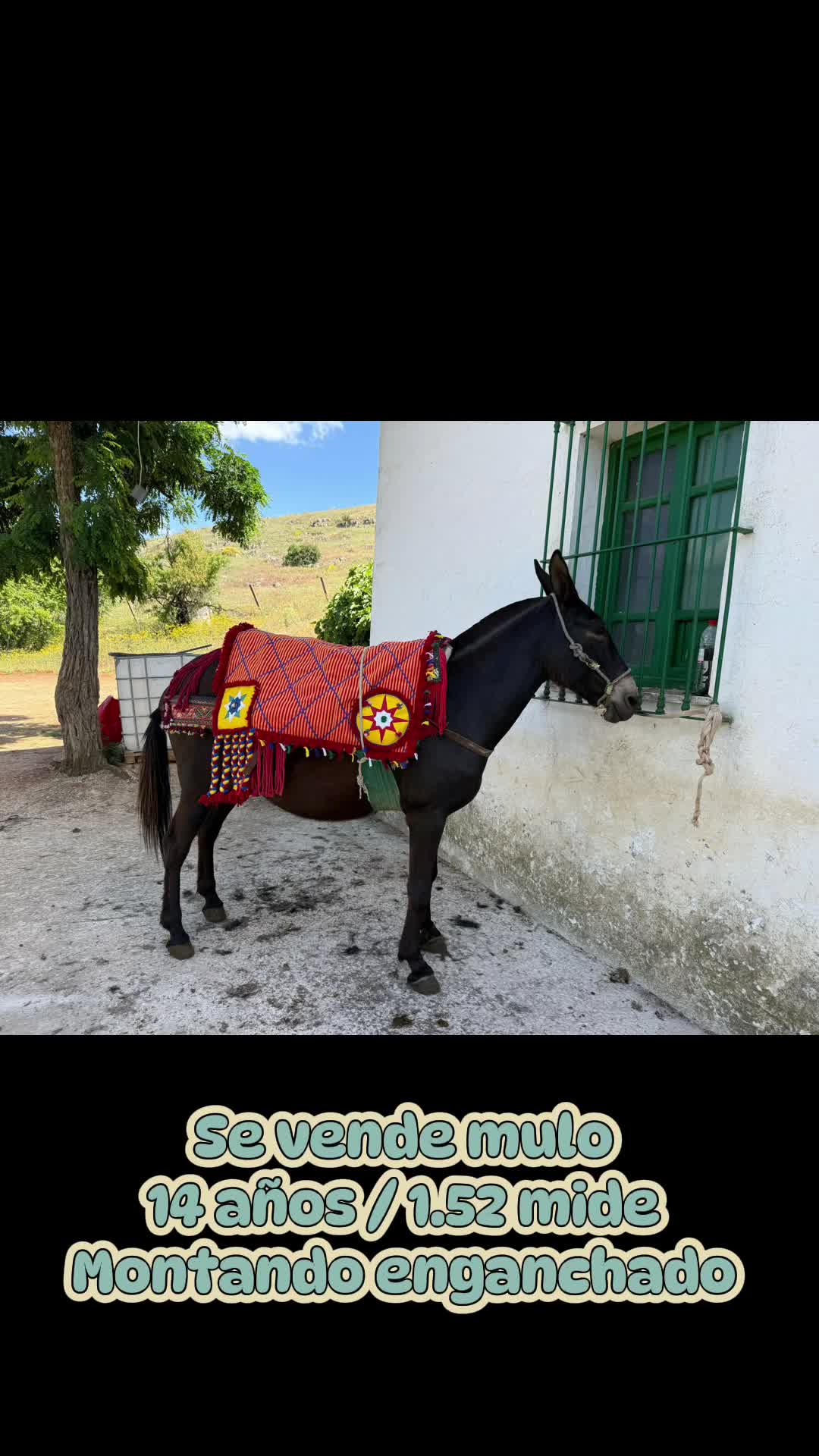 @María del pilar