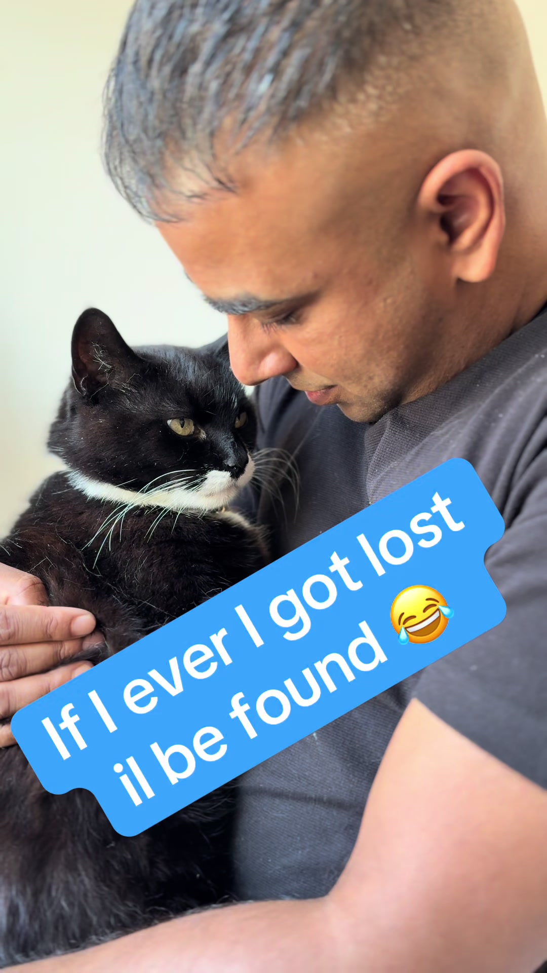 @Mowji the cat