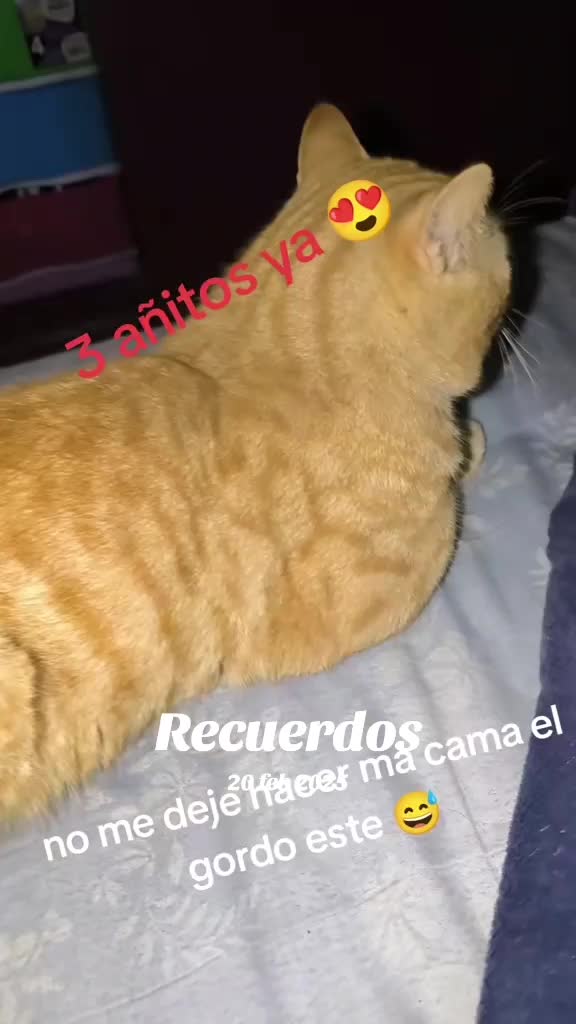 @👑la_patrona👑 💎QUEEN💎