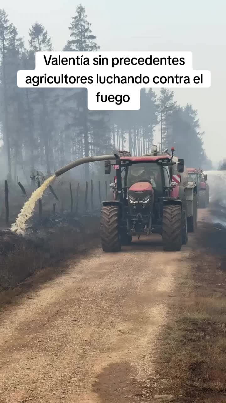 @javiersanchezlibra