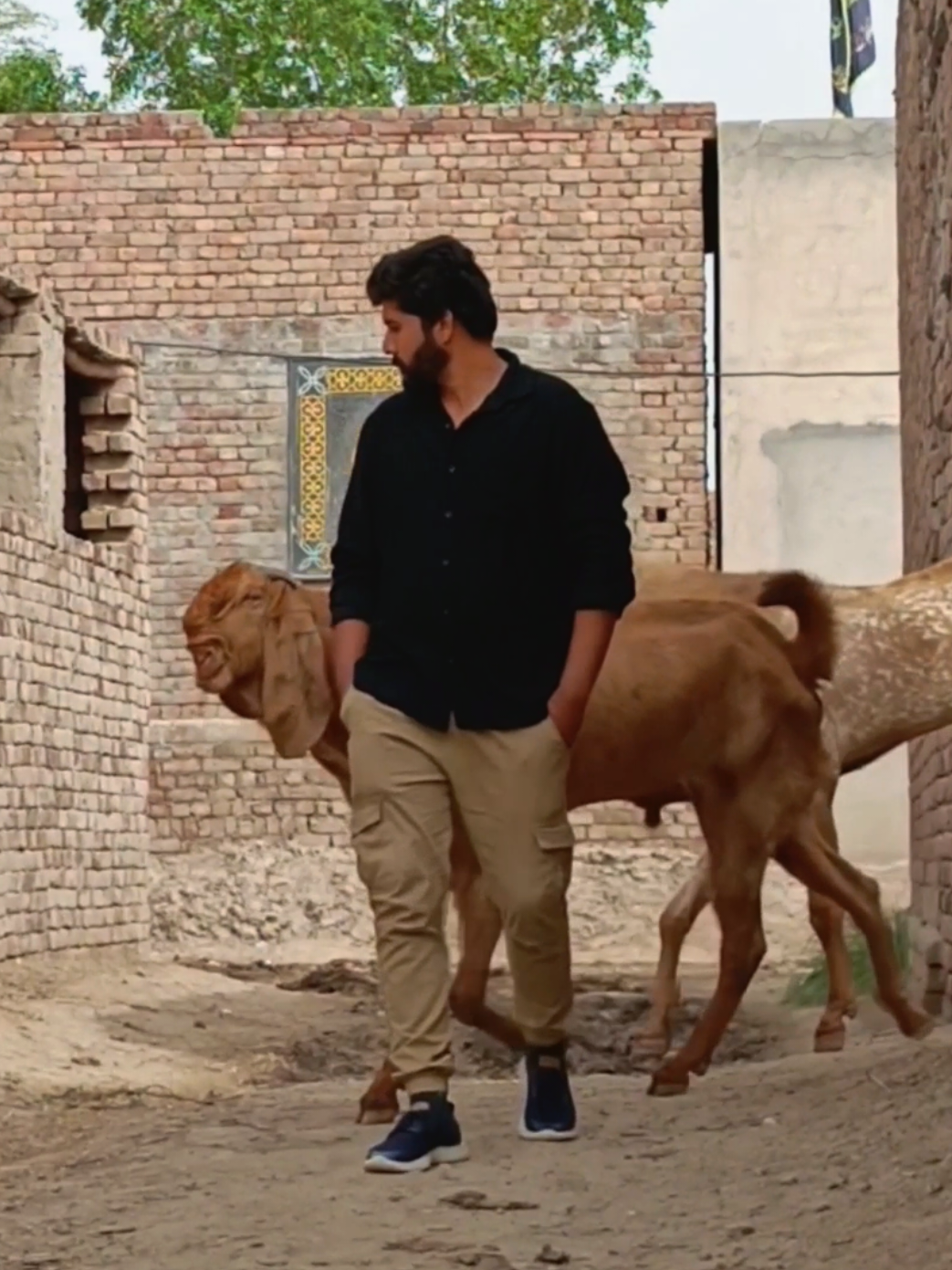 @AHMED GOAT CORNER 🐐🇵🇰