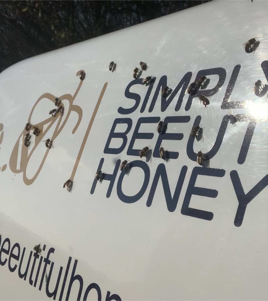 @simplybeeutifulhoney