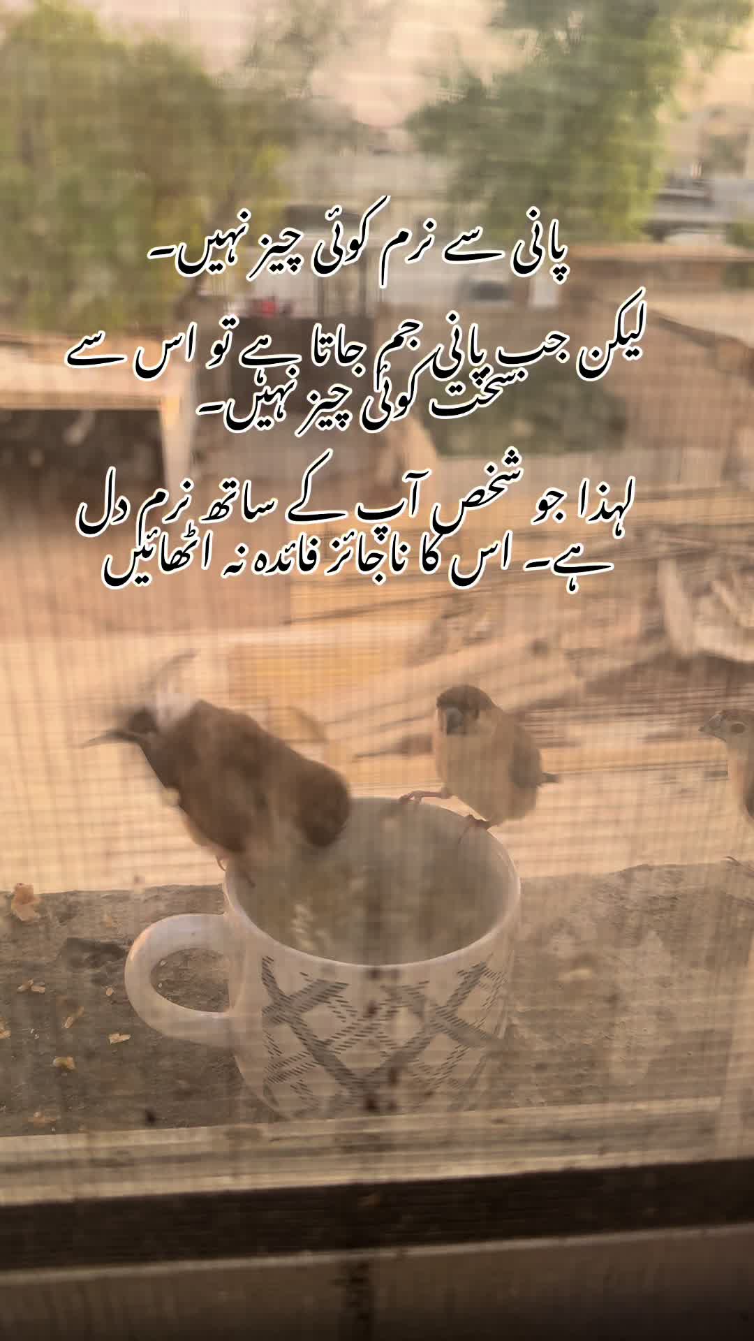 @Black and white Duniya 💔
