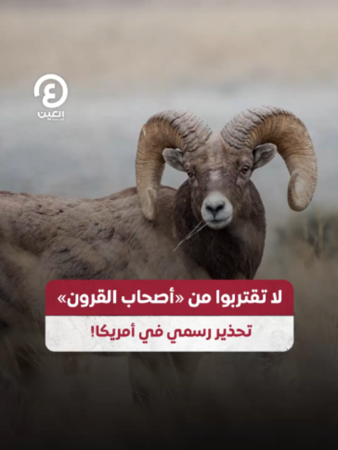 @العين الإخبارية