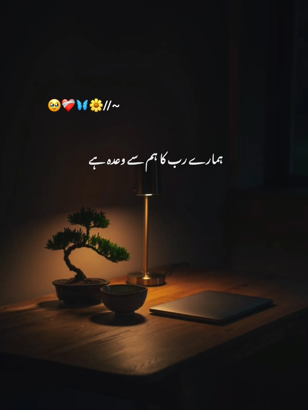 @🌷𝗘𝗠𝗔𝗡🌷