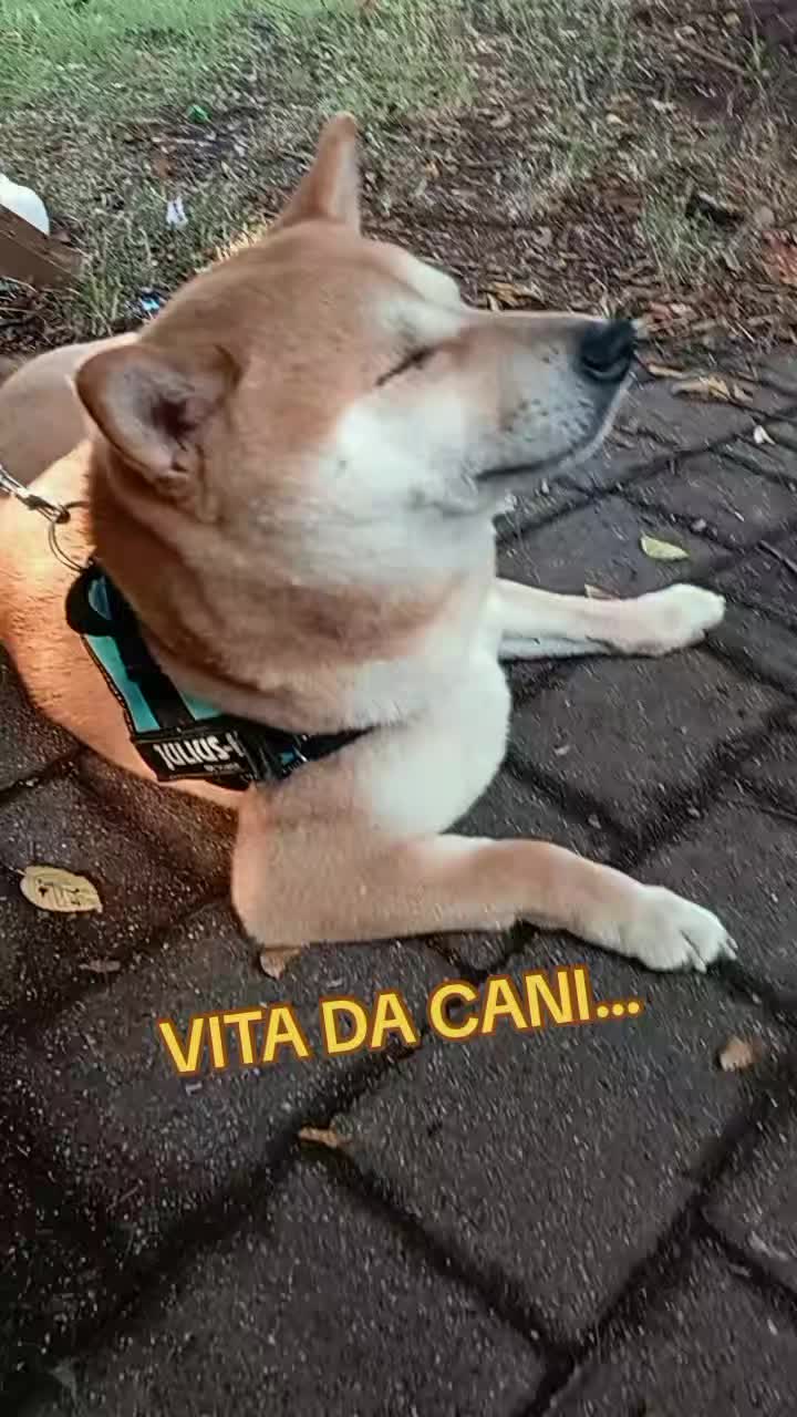 @Tony❤️Giovanna❤️