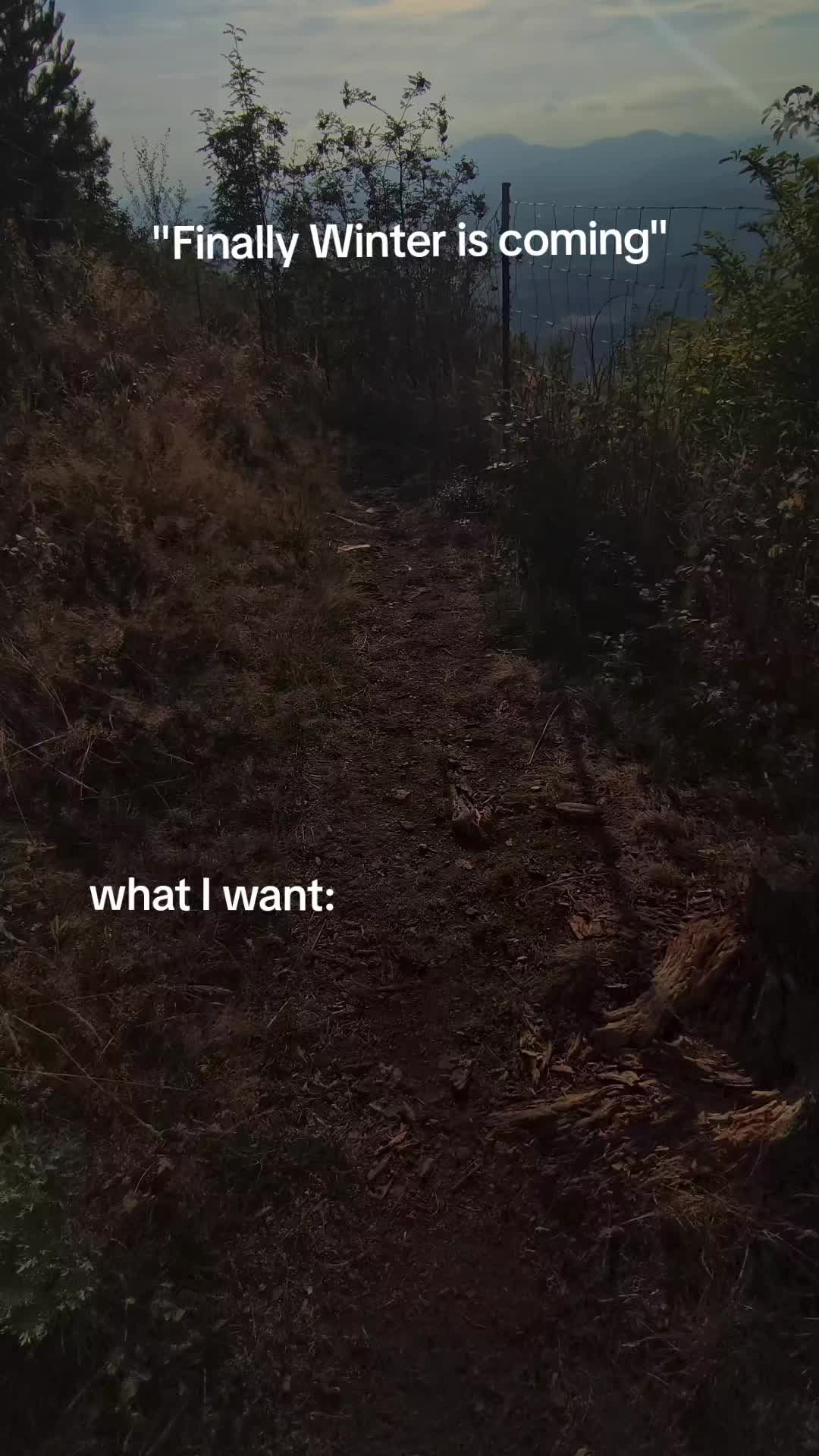 @Ollmarus