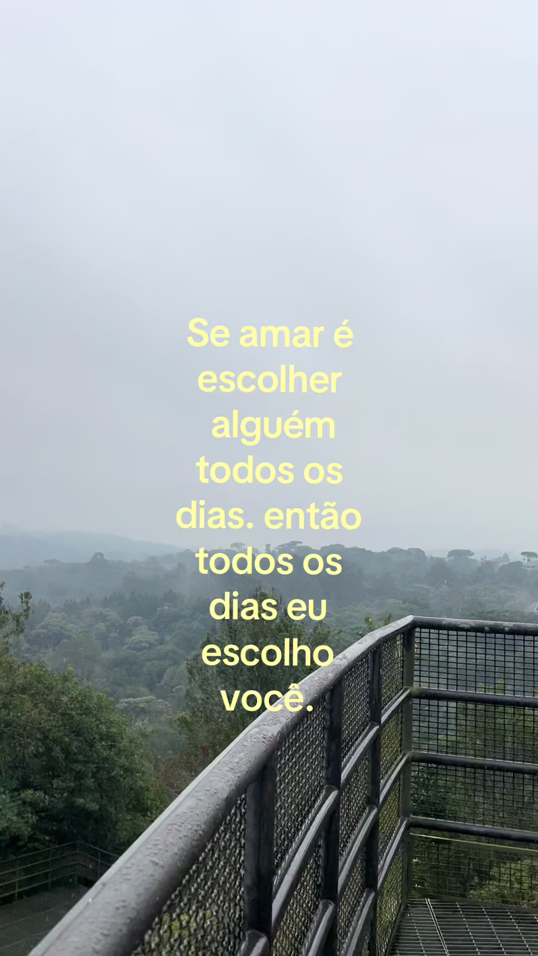 @Jaquee