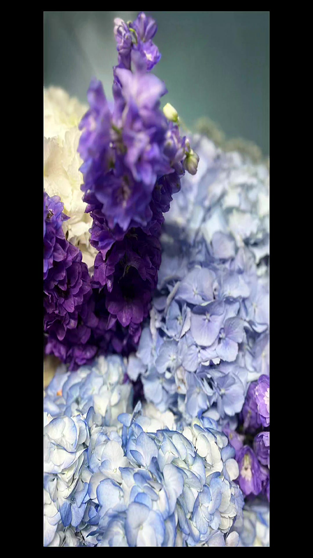 @Blossom Flowershop Tg-Jiu
