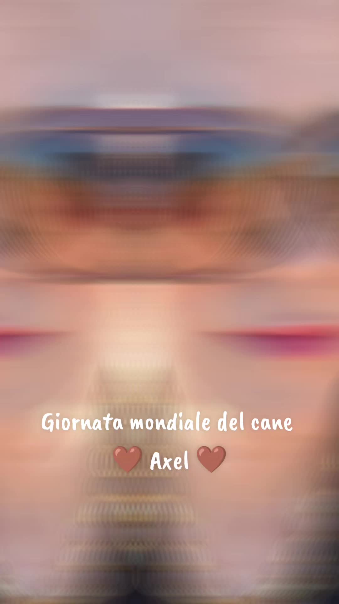 @Anna Maria Vaccaro
