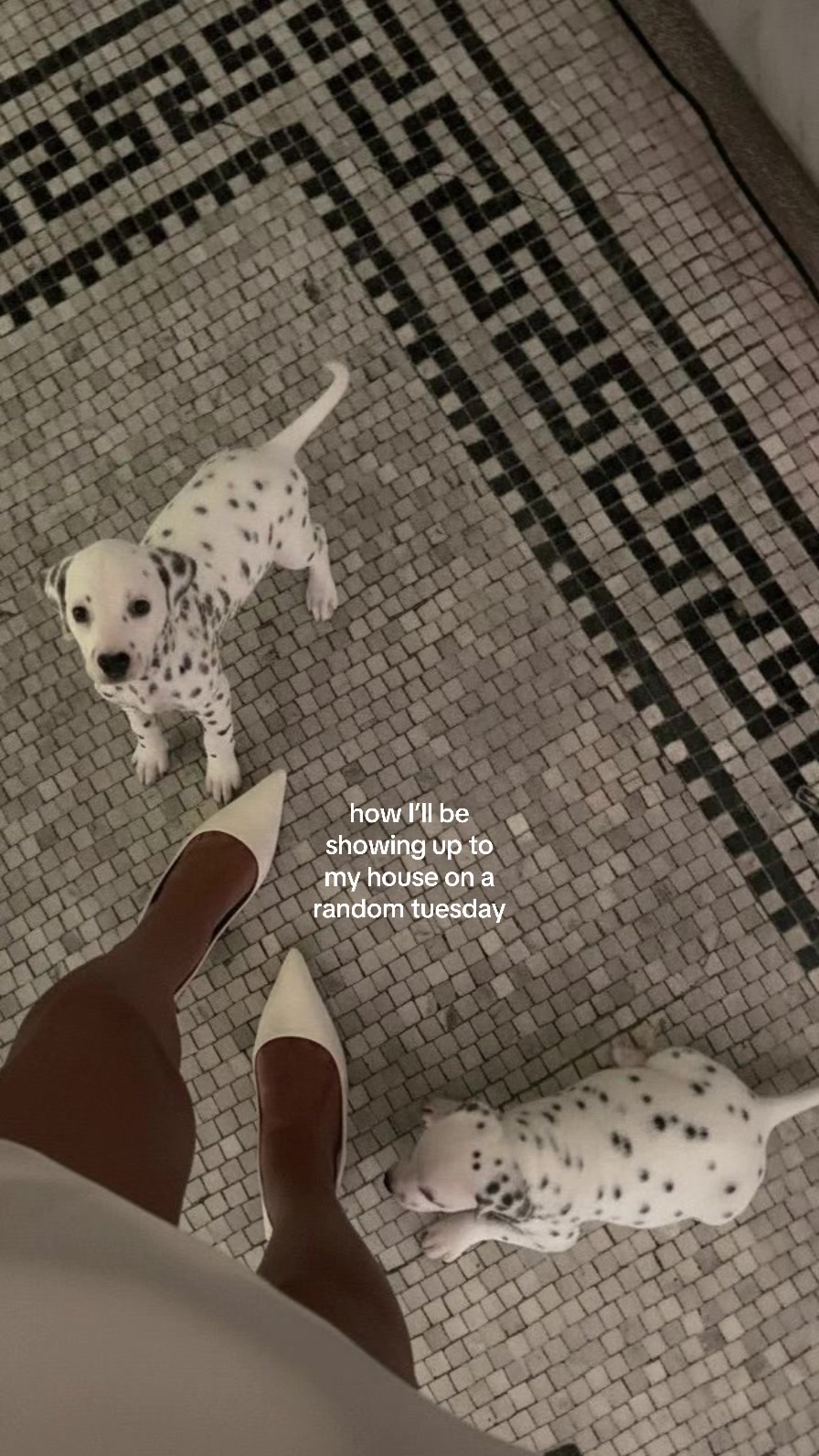 @justanotherkindagirl