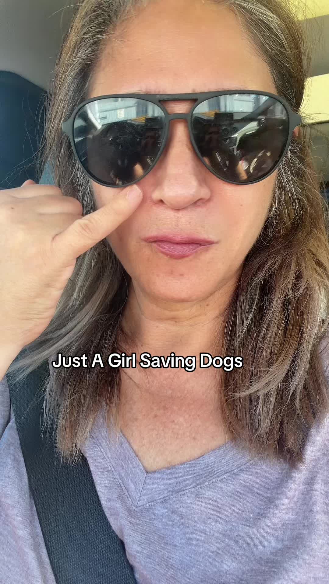 @Just A Girl Saving Dogs
