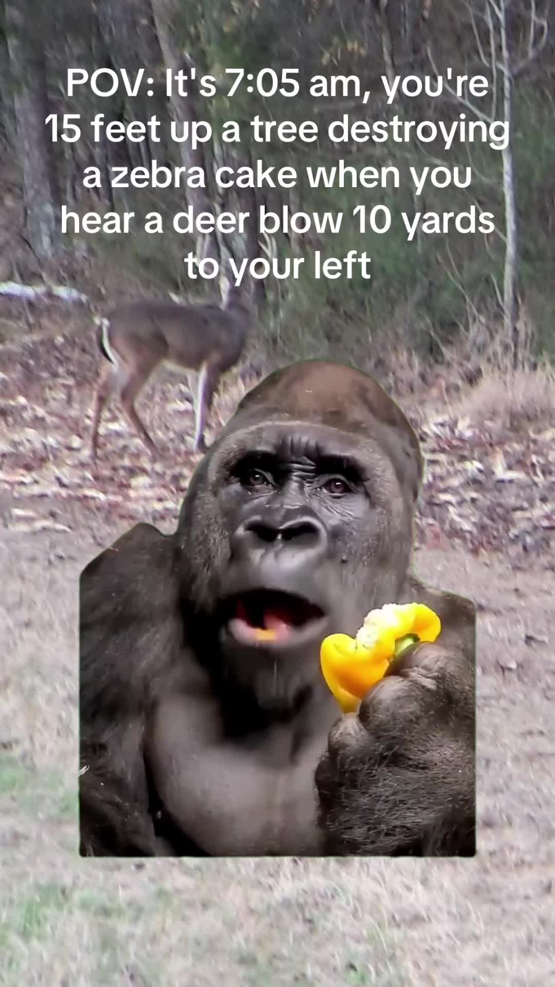 @🌾Colton 🦆