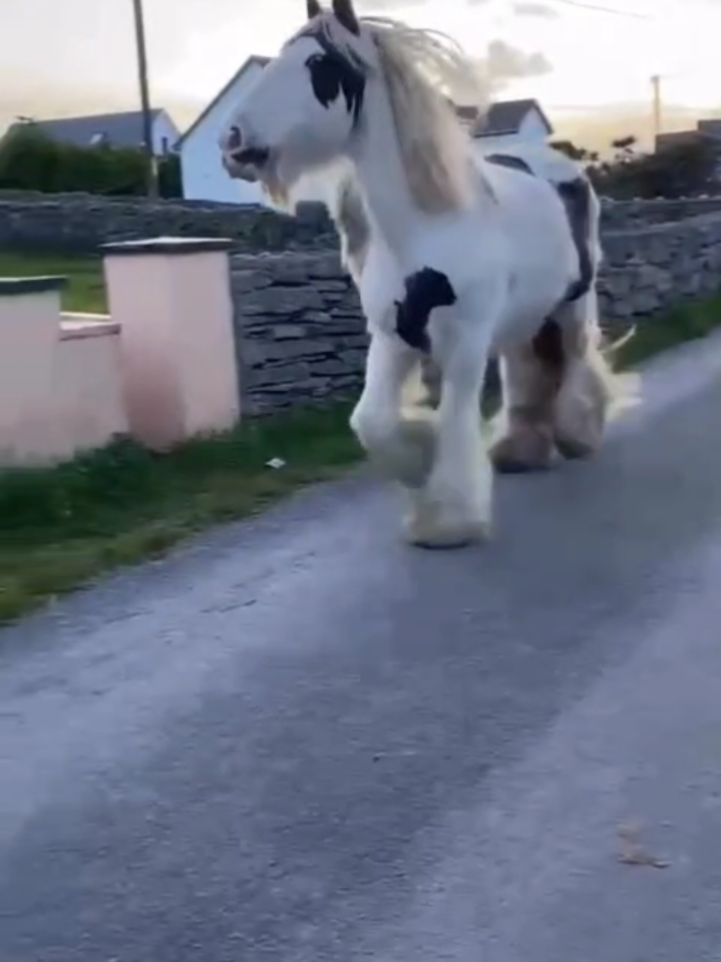 @Visit Galway