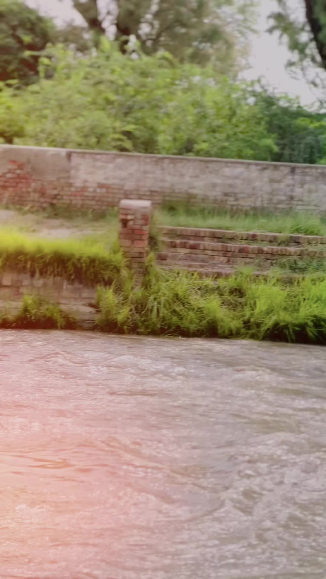 @Dilawar Bhakkar ala
